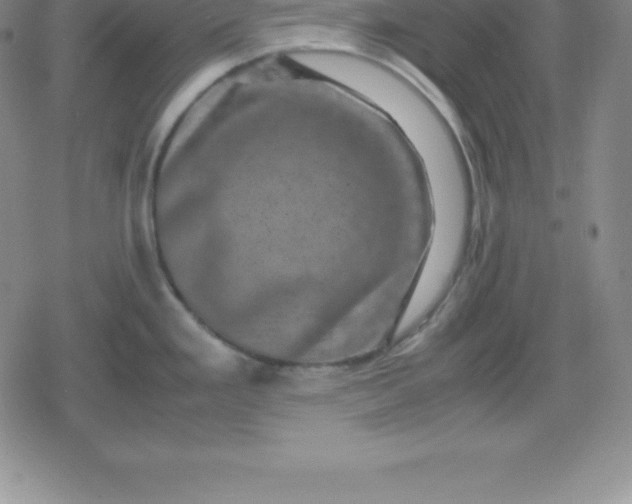 X0000080191293200612221331