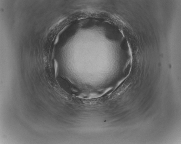 X0000080191302200612221330