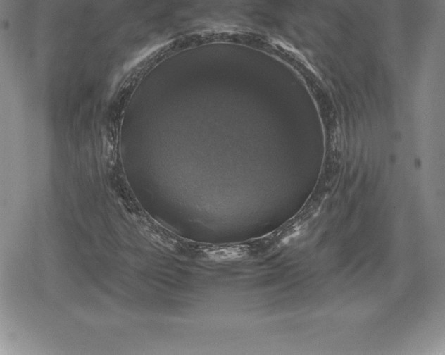 X0000080191303200612221330