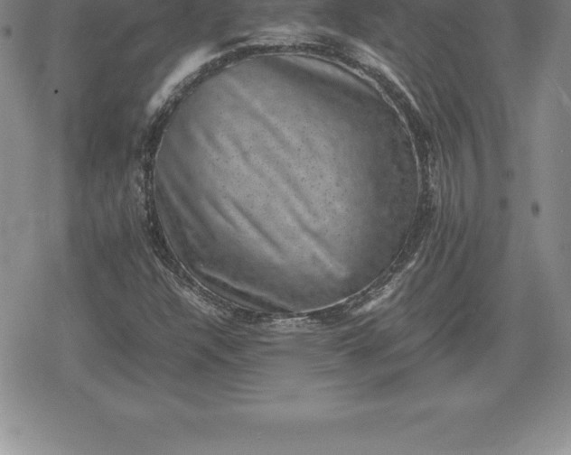 X0000080191304200612221331