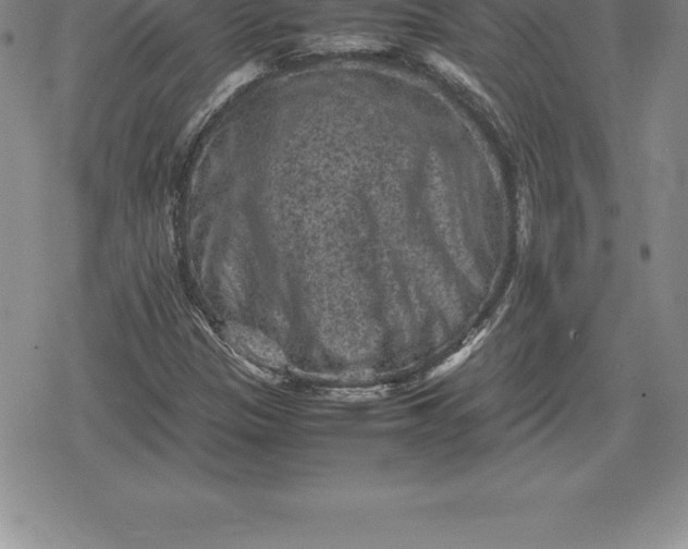 X0000080191305200612221331