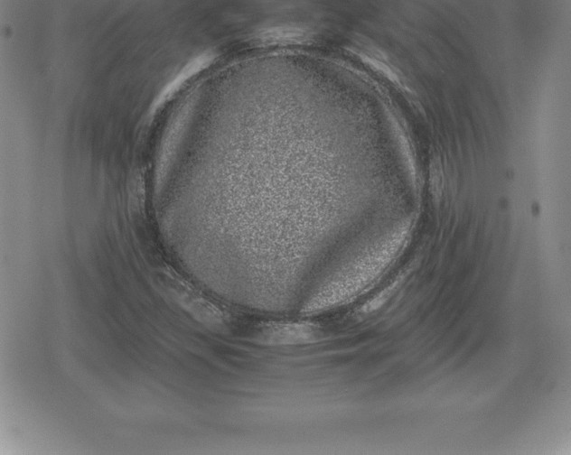 X0000080191309200612221331