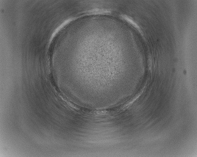 X0000080191310200612221331
