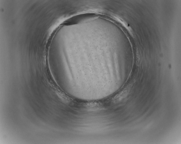 X0000080191316200612221331