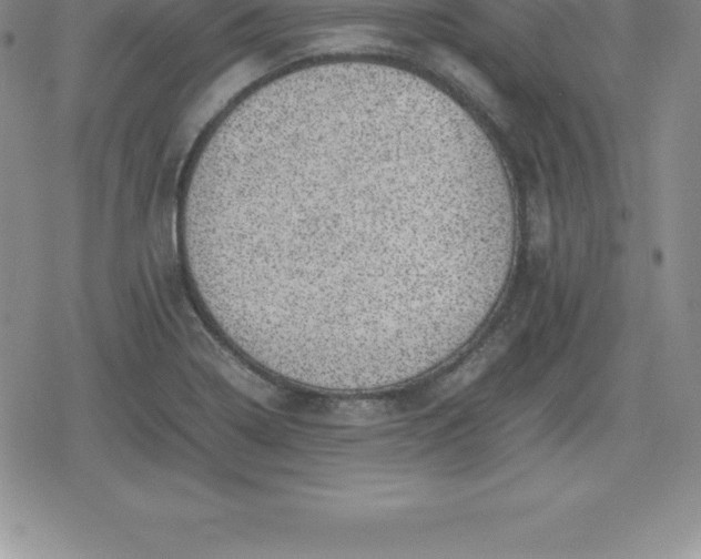 X0000080191322200612221331