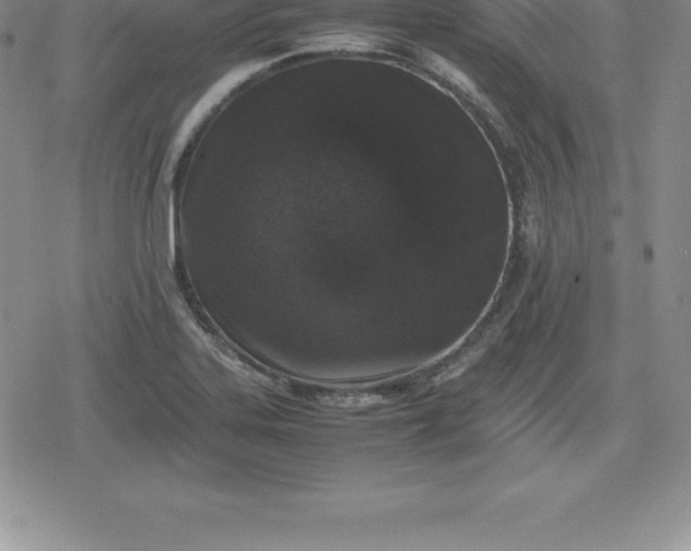 X0000080191323200612221331