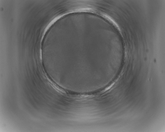 X0000080191324200612221331