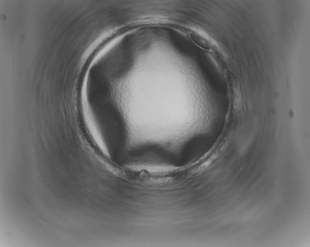 X0000080191325200612221331