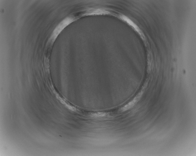 X0000080191329200612221331