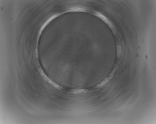X0000080191331200612221331