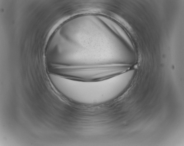 X0000080191332200612221331