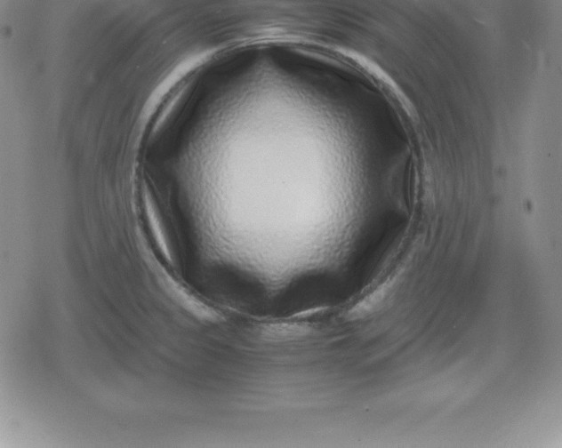 X0000080191333200612221331