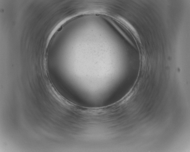 X0000080191340200612221331