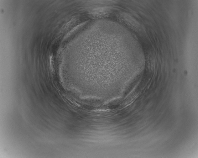X0000080191346200612221330