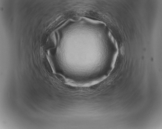 X0000080191347200612221330