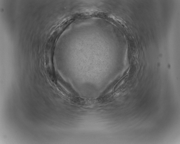 X0000080191349200612221330