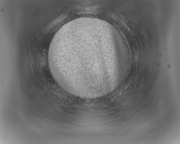 X0000080191350200612221330