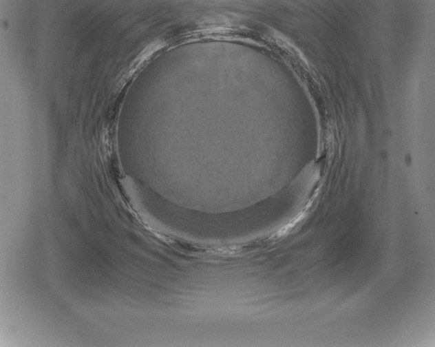 X0000080191353200612221330