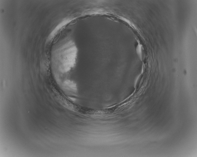 X0000080191359200612221330