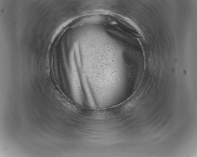 X0000080191364200612221330