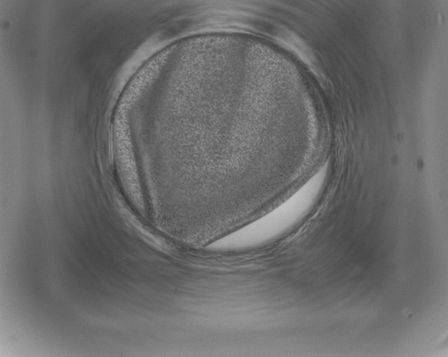X0000080191371200612221330