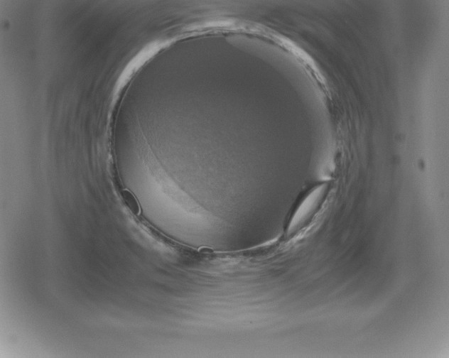 X0000080191373200612221330