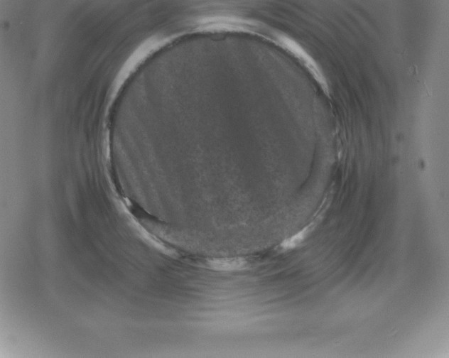 X0000080191376200612221330