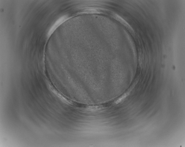 X0000080191378200612221330