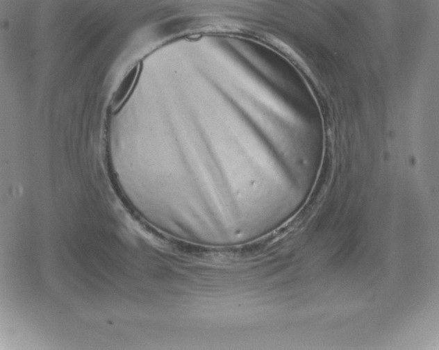 X0000080191379200612221330
