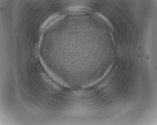 X0000080191386200612221330