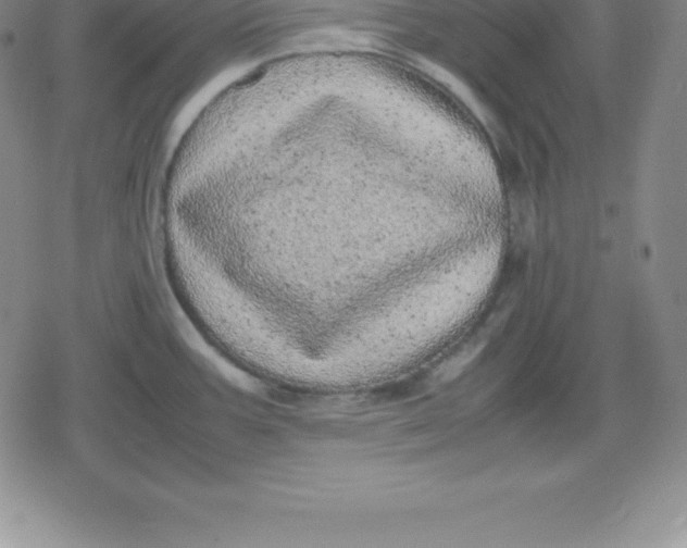 X0000080191387200612221330