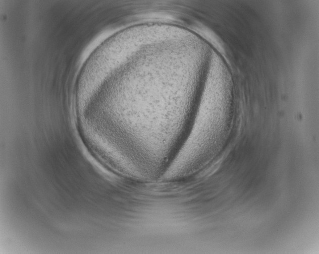 X0000080191391200612221330
