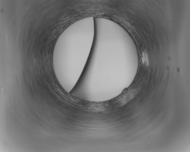 X0000080191396200612221329