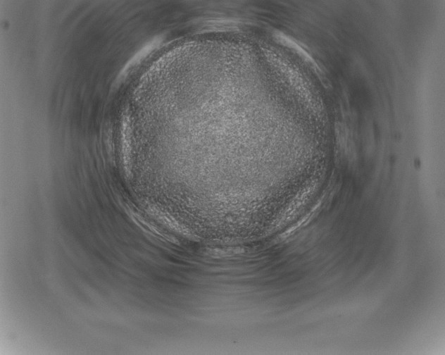 X0000080191403200612221329