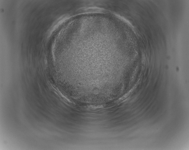X0000080191407200612221329