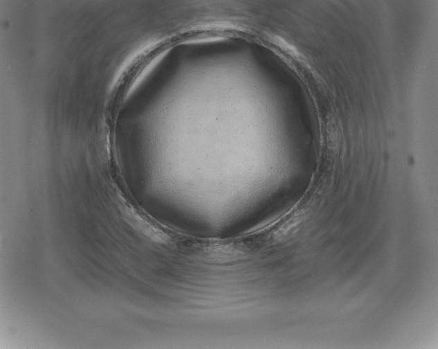 X0000080191408200612221329