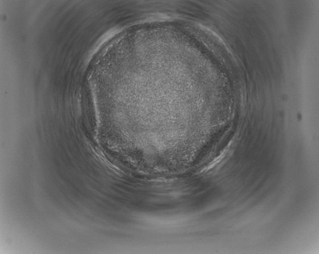 X0000080191409200612221329