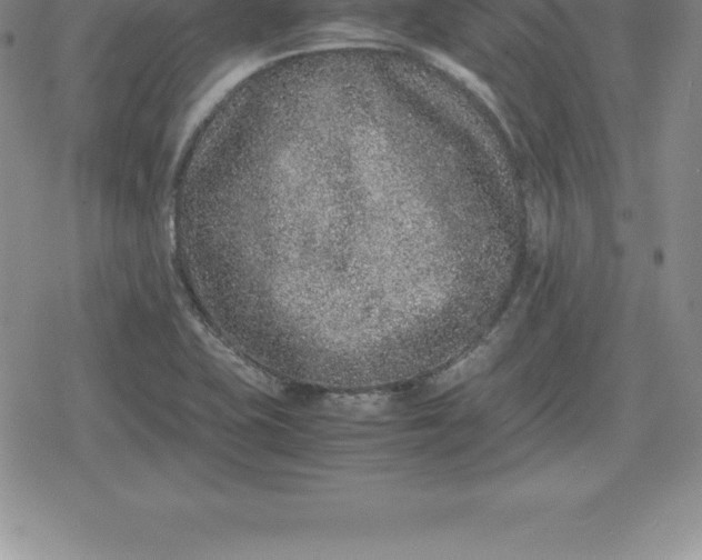 X0000080191415200612221329
