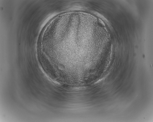 X0000080191423200612221329