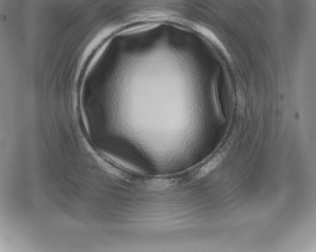X0000080191424200612221329