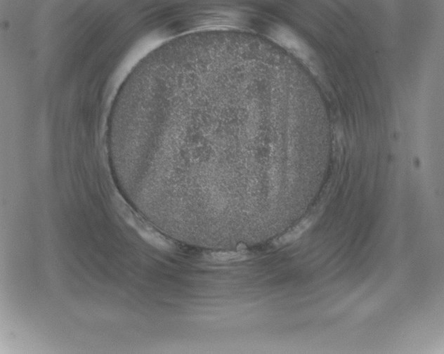 X0000080191427200612221329
