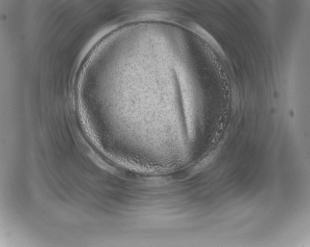 X0000080191436200612221330