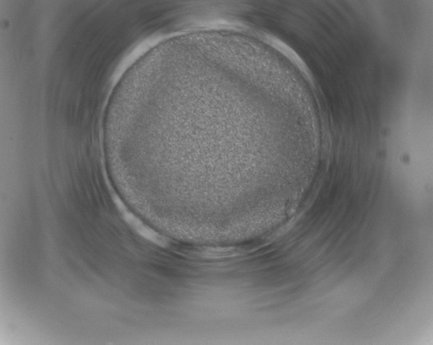 X0000080191439200612221330