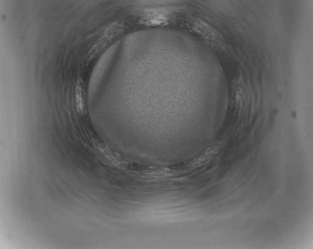 X0000080191442200612221329