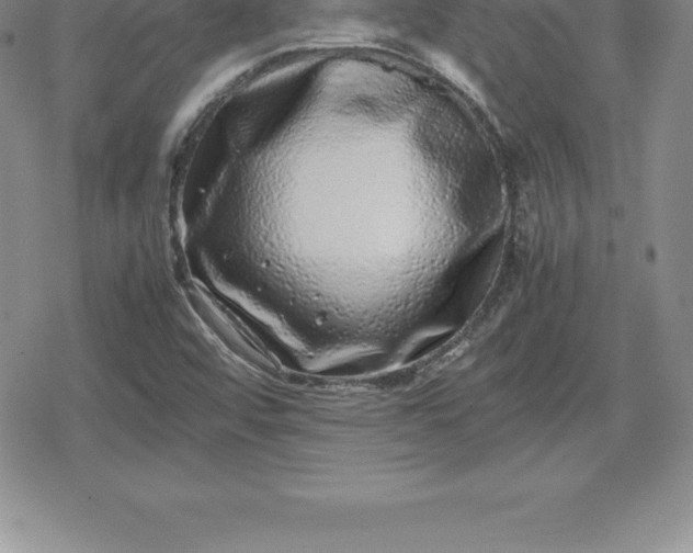 X0000080191456200612221329