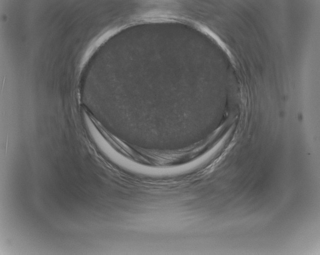 X0000080191461200612221329