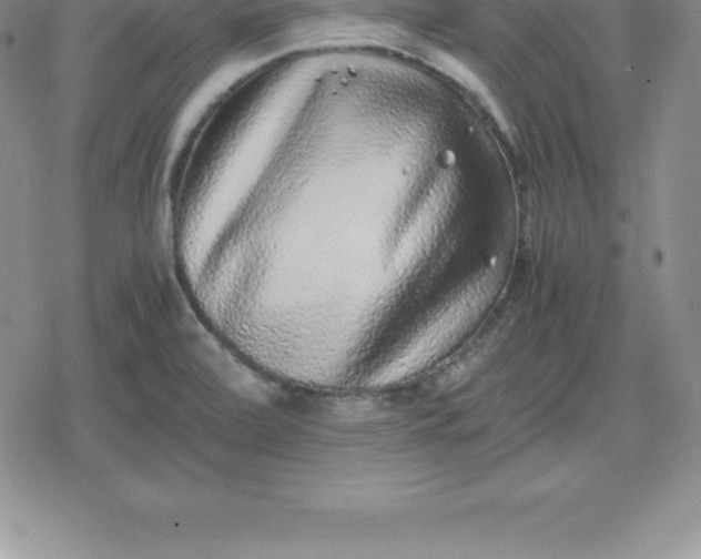 X0000080191472200612221328