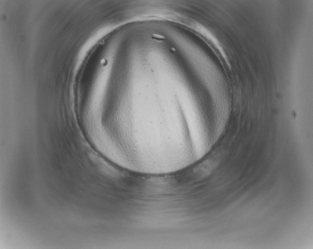 X0000080191480200612221328