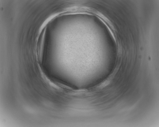 X0000080191486200612221328
