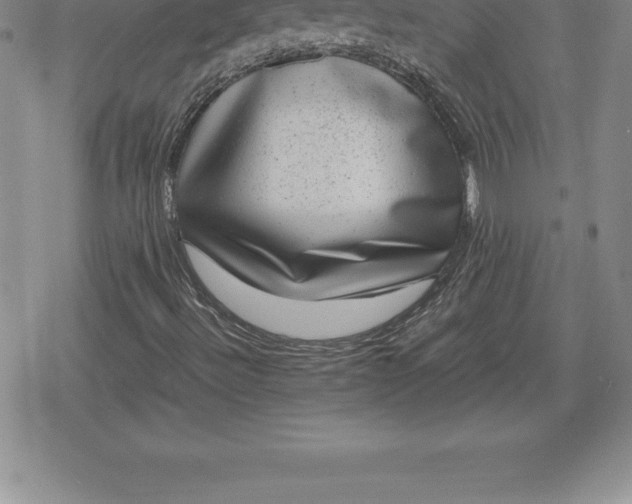 X0000080191492200612221327